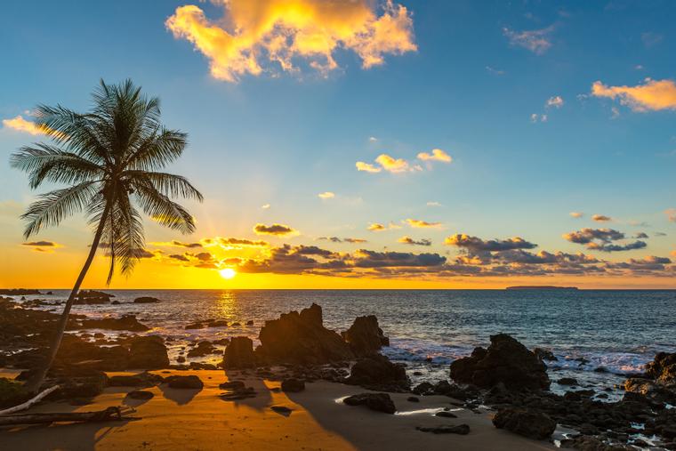 The silhouette of a palm tree along the Pacific Ocean Coast of Costa Rica inside Corcovado national park, Osa Peninsula, Central America.